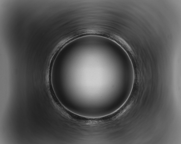 X0000097840938200803201515