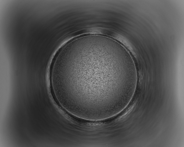 X0000097840939200803201515
