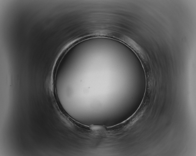 X0000097840940200803201515