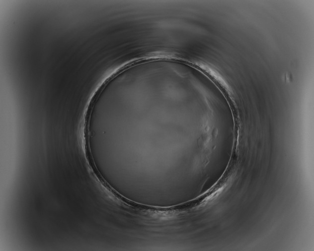 X0000097840941200803201515