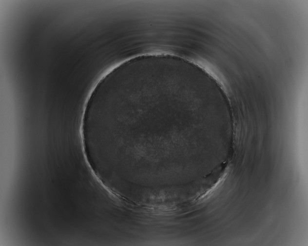 X0000097840943200803201515