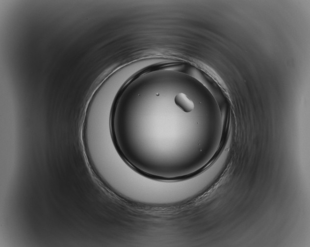 X0000097840946200803201515