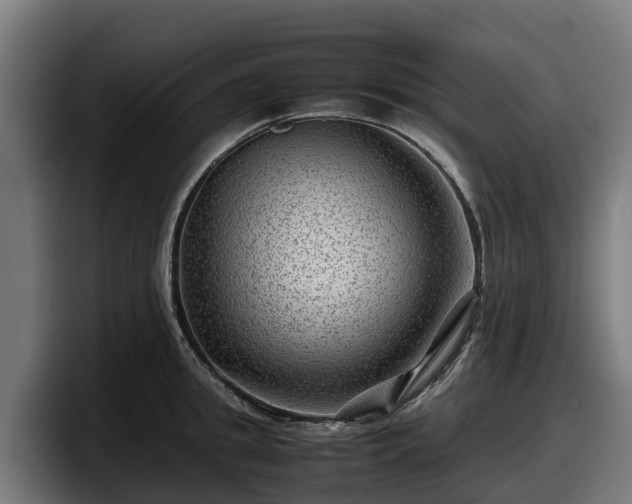 X0000097840949200803201515