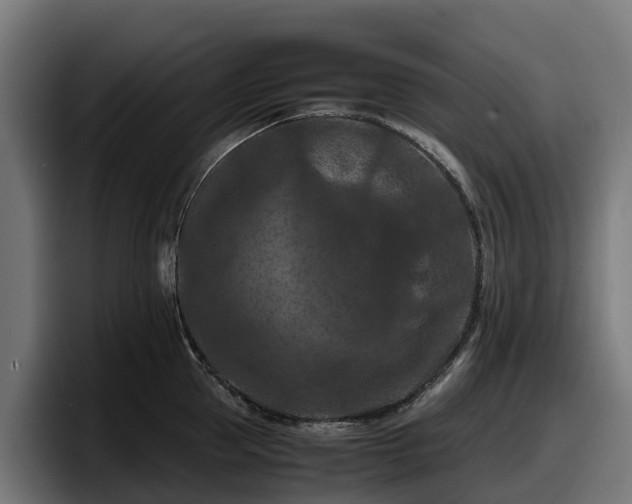 X0000097840953200803201515