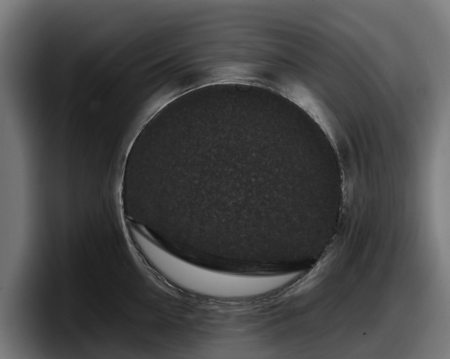 X0000097840954200803201515
