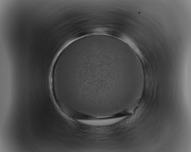 X0000097840955200803201515
