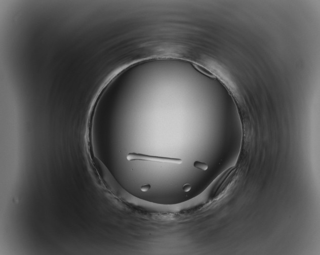 X0000097840956200803201515