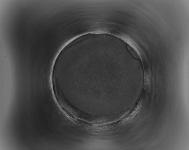 X0000097840959200803201515