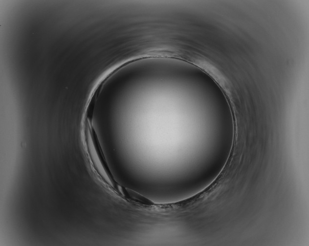 X0000097840960200803201515