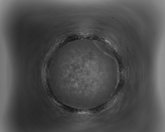 X0000097840961200803201515