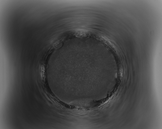 X0000097840964200803201515