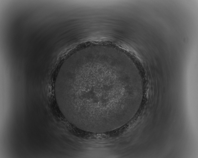 X0000097840966200803201515