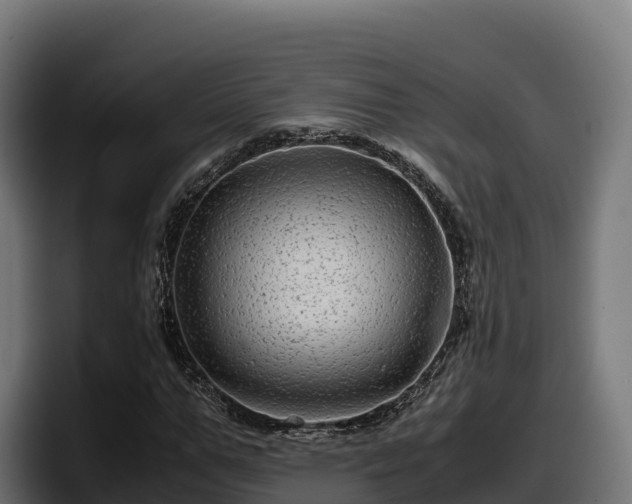 X0000097840967200803201515