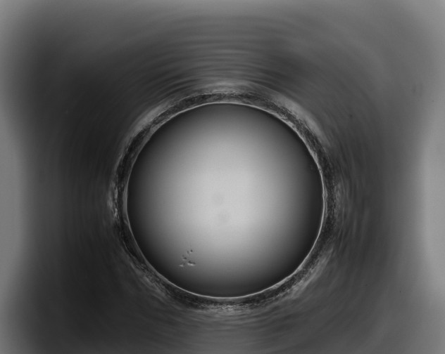 X0000097840970200803201514
