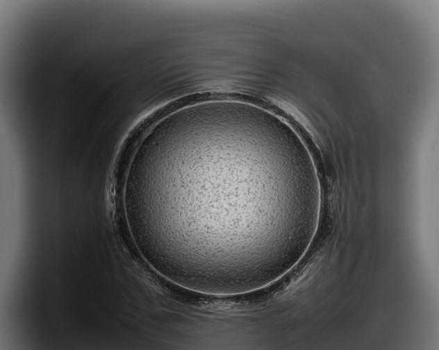X0000097840971200803201514