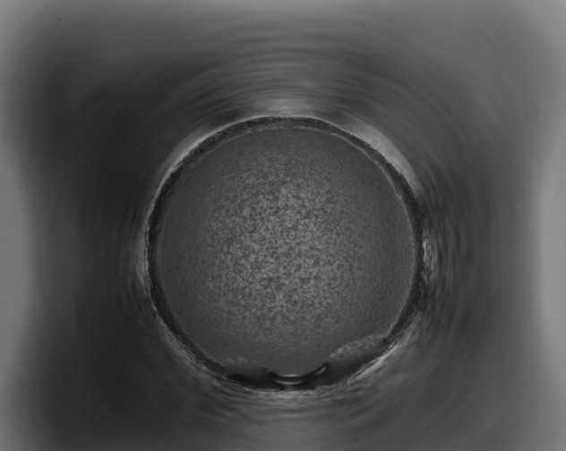 X0000097840972200803201514
