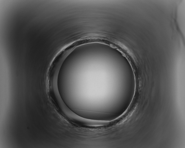 X0000097840973200803201514