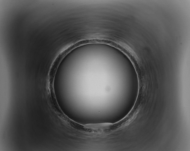 X0000097840974200803201514