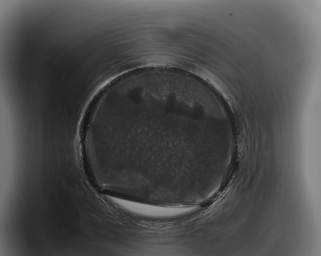 X0000097840975200803201514