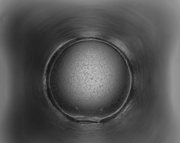 X0000097840976200803201514