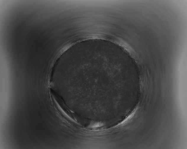 X0000097840977200803201514