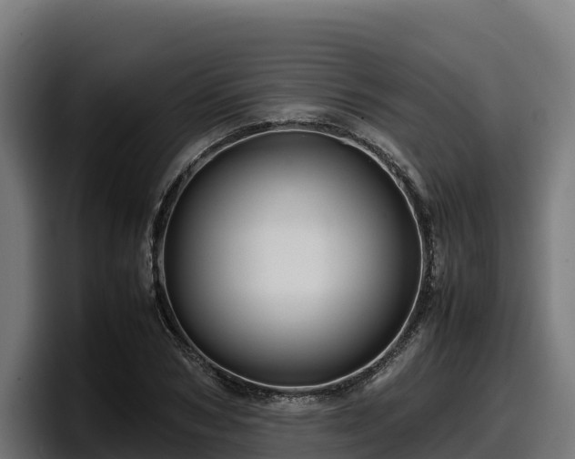 X0000097840978200803201514