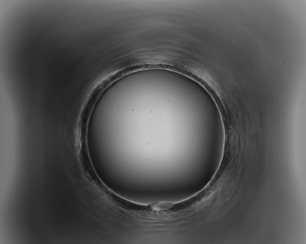 X0000097840979200803201514