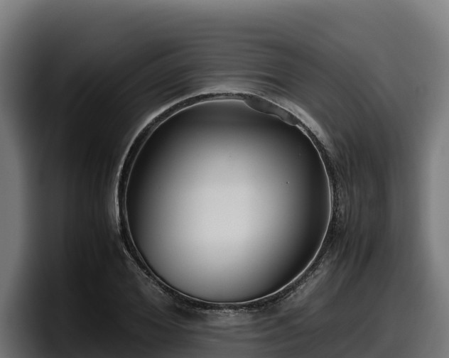X0000097840980200803201514