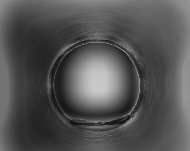 X0000097840981200803201514