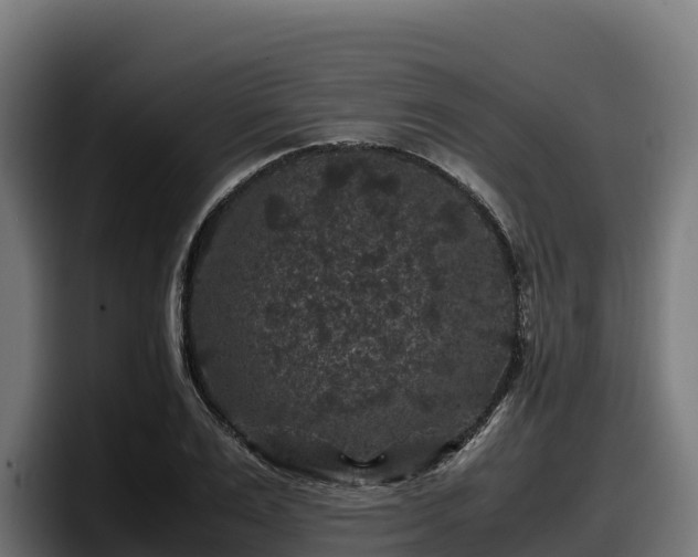 X0000097840983200803201514