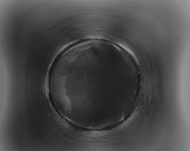 X0000097840984200803201514