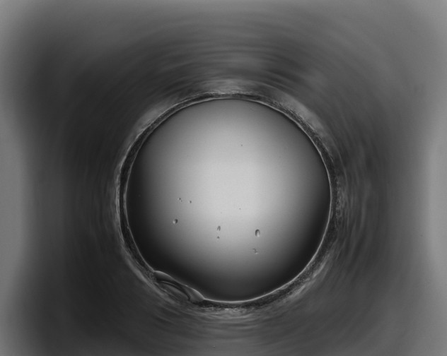 X0000097840986200803201514