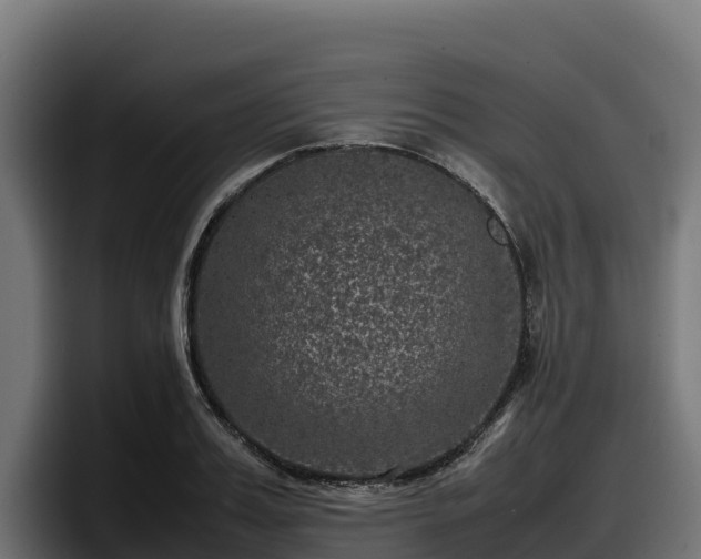 X0000097840987200803201514