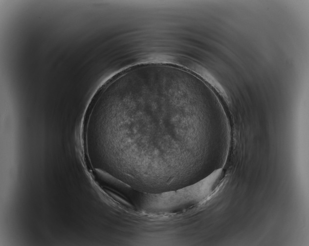 X0000097840988200803201514