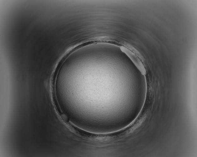 X0000097840989200803201514