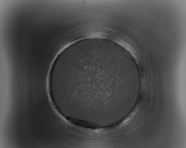 X0000097840991200803201514
