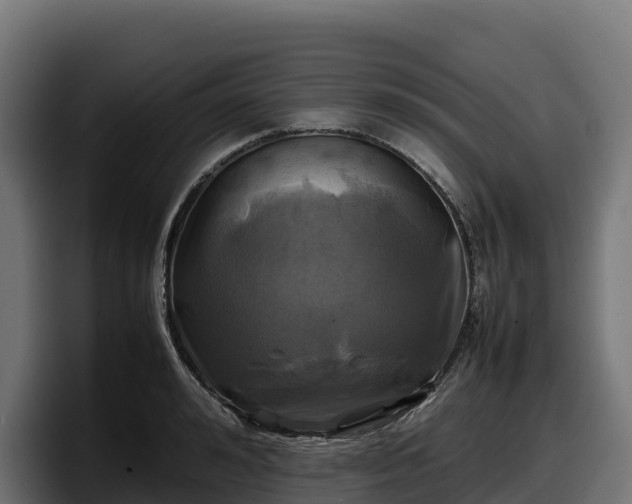 X0000097840992200803201514