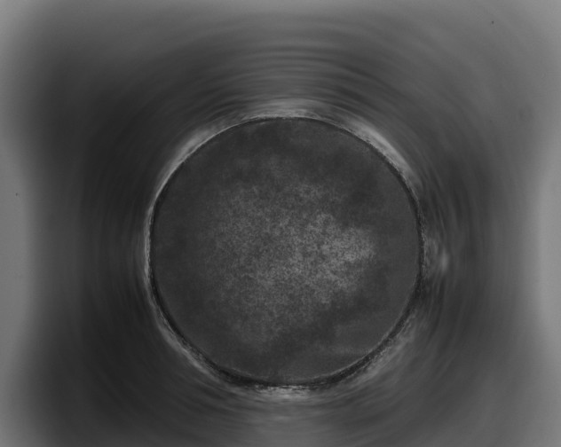 X0000097840994200803201514