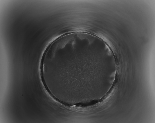 X0000097840995200803201514