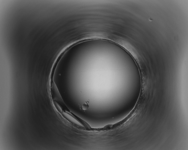 X0000097840996200803201514