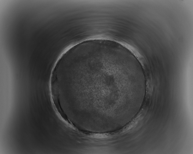 X0000097840998200803201514