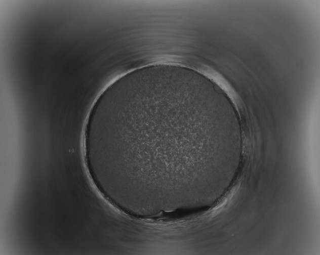X0000097840999200803201514