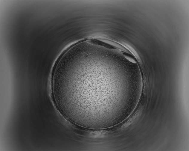 X0000097841000200803201514