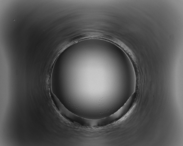 X0000097841001200803201514