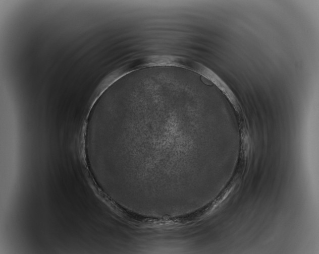 X0000097841002200803201514