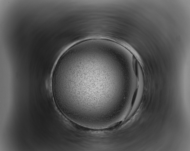 X0000097841004200803201514