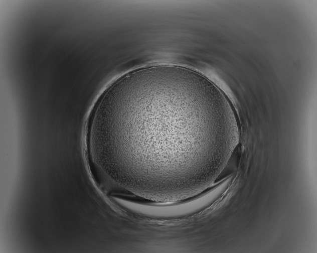 X0000097841005200803201514