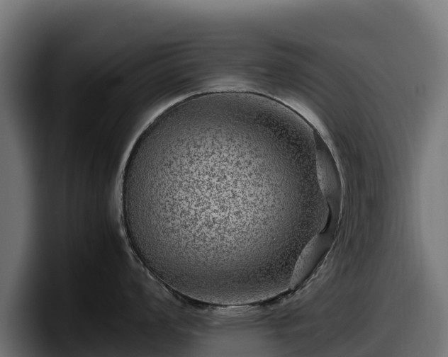 X0000097841008200803201514
