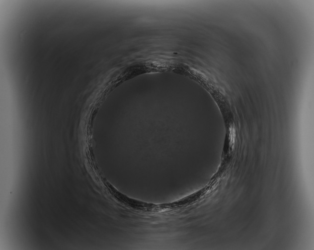 X0000097841009200803201513