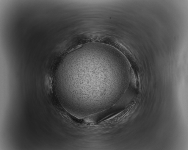 X0000097841010200803201513